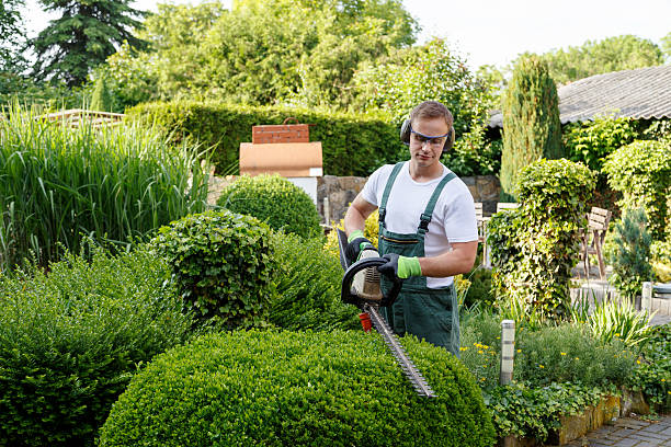 Best Emergency Tree Removal  in Key West, FL